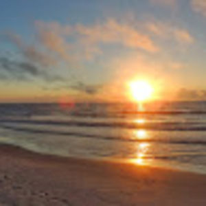 Meet your Posher, Katy